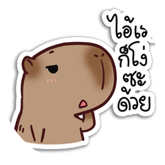 ภาพประจำตัวสมาชิก