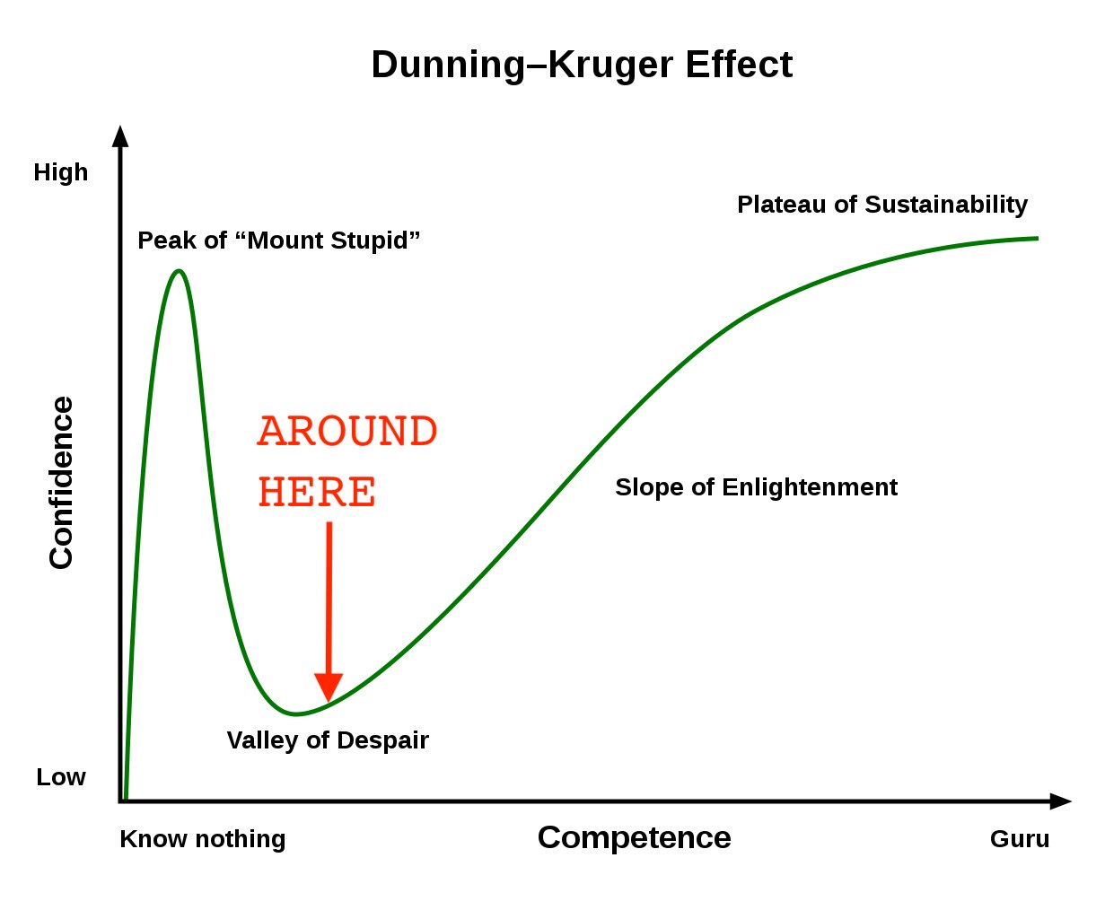 1231px-Dunning–Kruger_Effect_01.svg.png