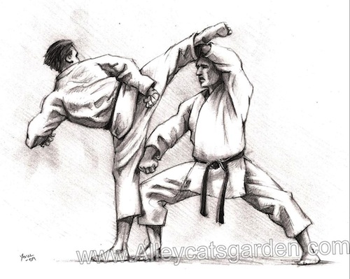 Karate1w.jpg