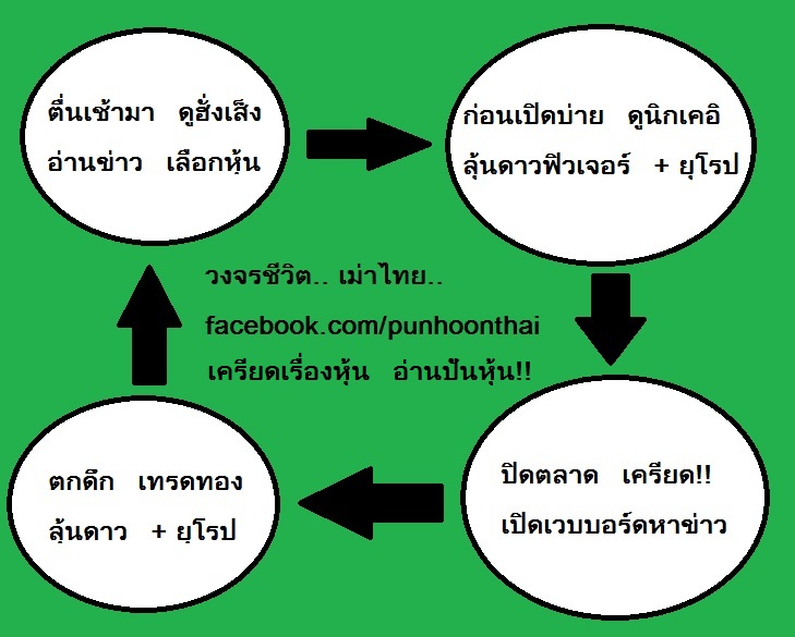 วงจรชีวิตเม่าไทย.jpg