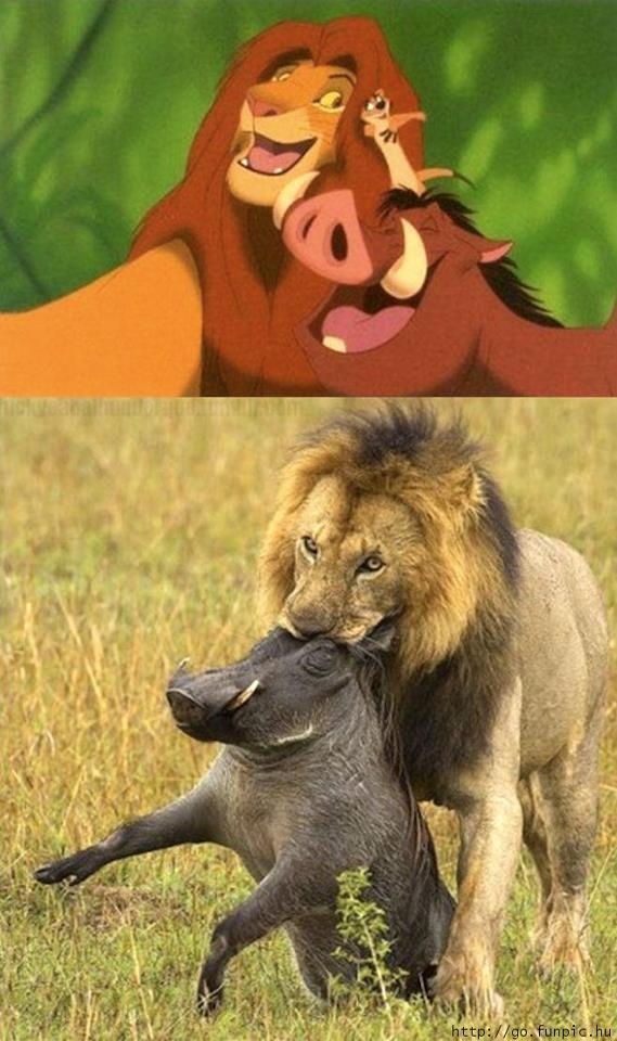 Lion.jpg