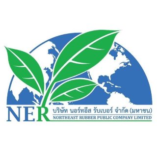 Logo NER.png